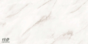 Керамогранит NT Ceramic Marmo Empire Pearl Endless Glossy арт. NTT99525P (60x120) полированная